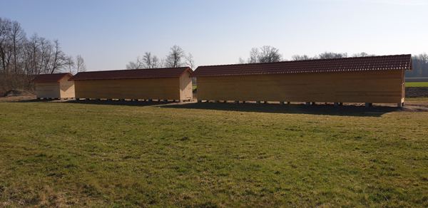 A Unique Approach to Pigeon Racing on the AviRings Derby 2021: Darkening of the Loft