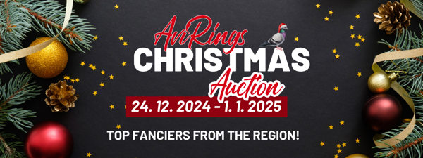 AviRings Christmas Auction 2024