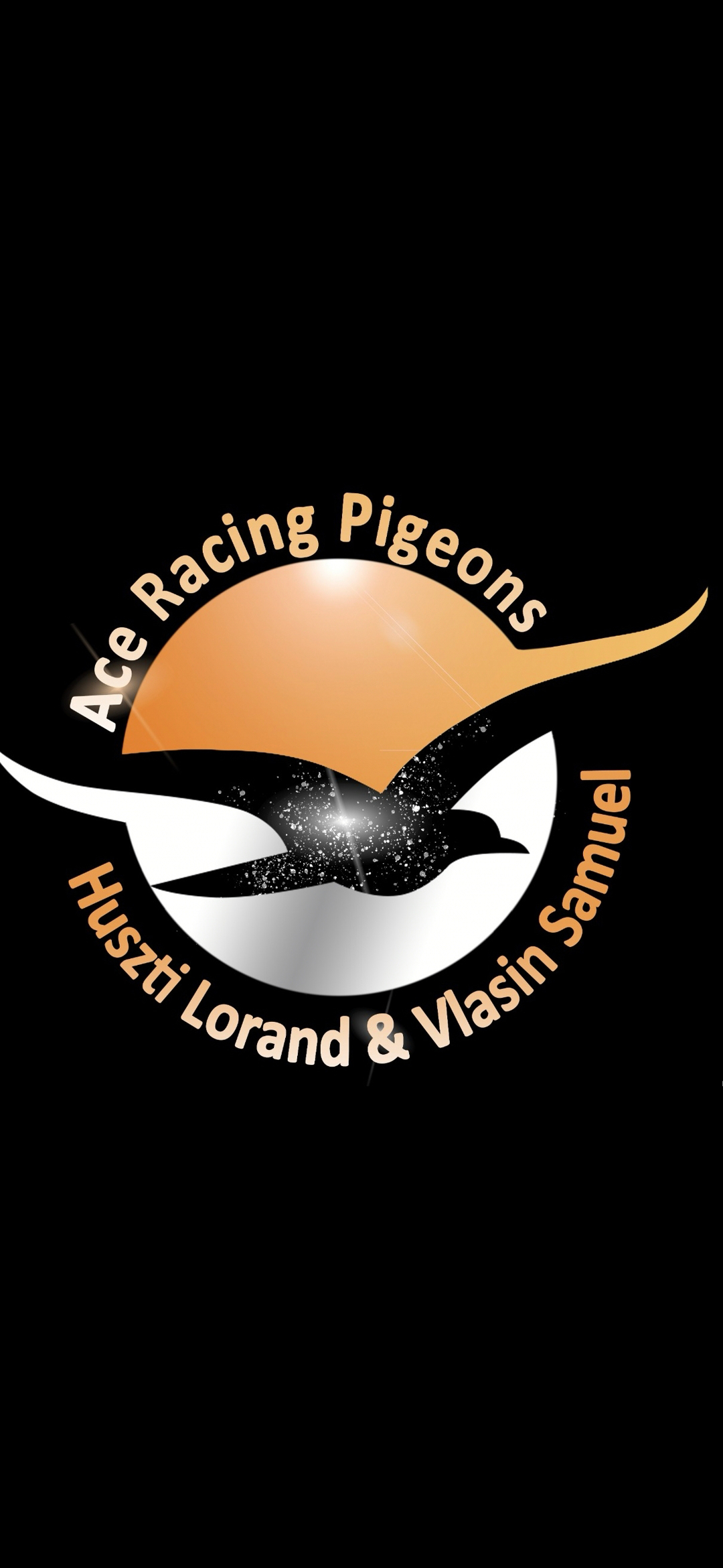Image_{Ace Racing Pigeons 
