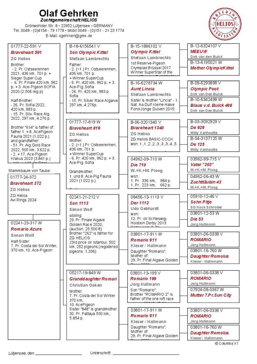 Pigeon summary image