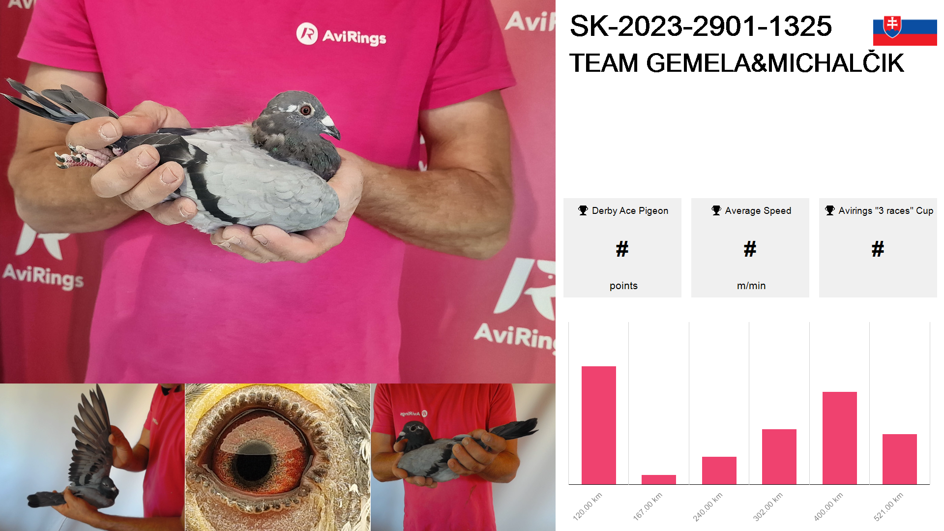 Pigeon summary image