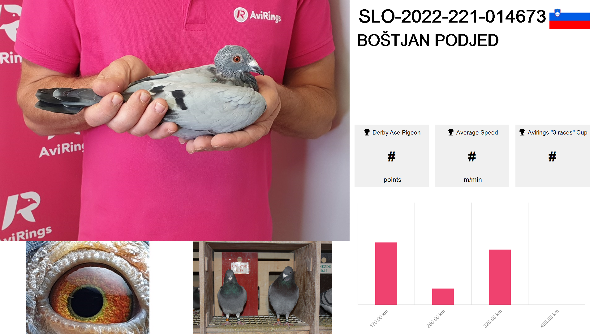 Pigeon summary image