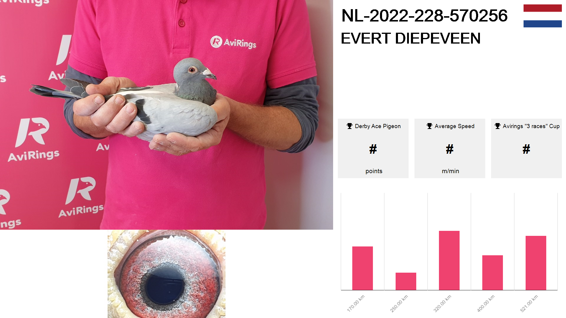 Pigeon summary image