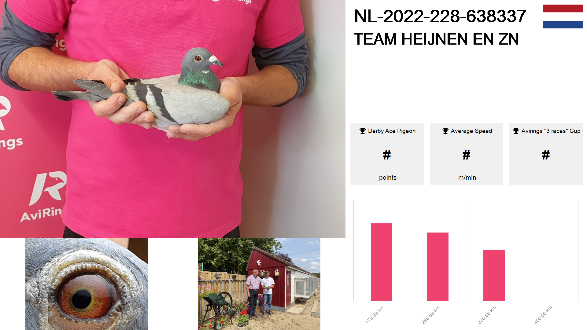 Pigeon summary image