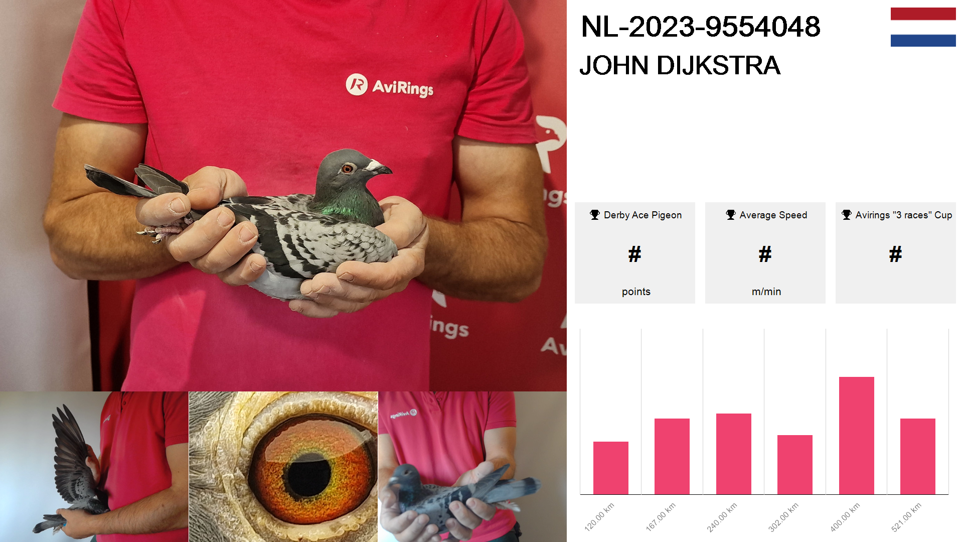 Pigeon summary image