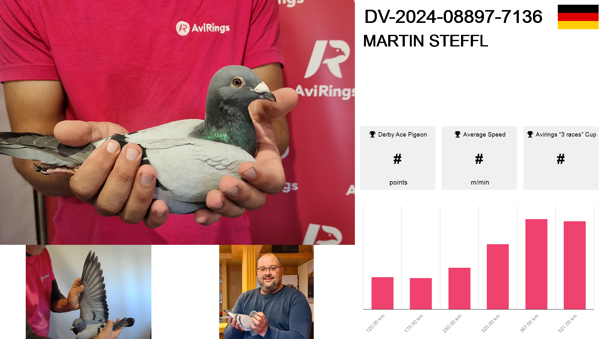 Pigeon summary image