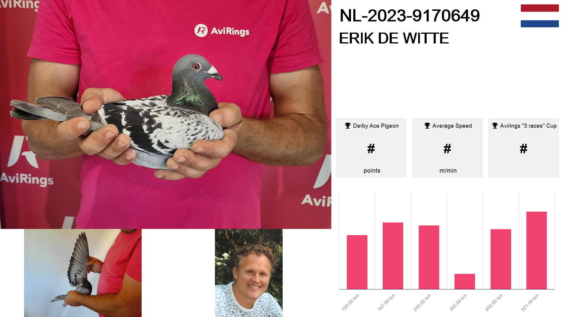 Pigeon summary image