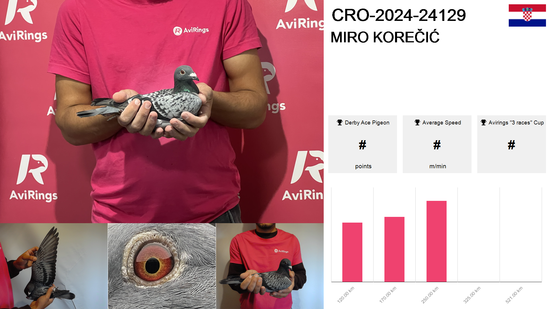 Pigeon summary image