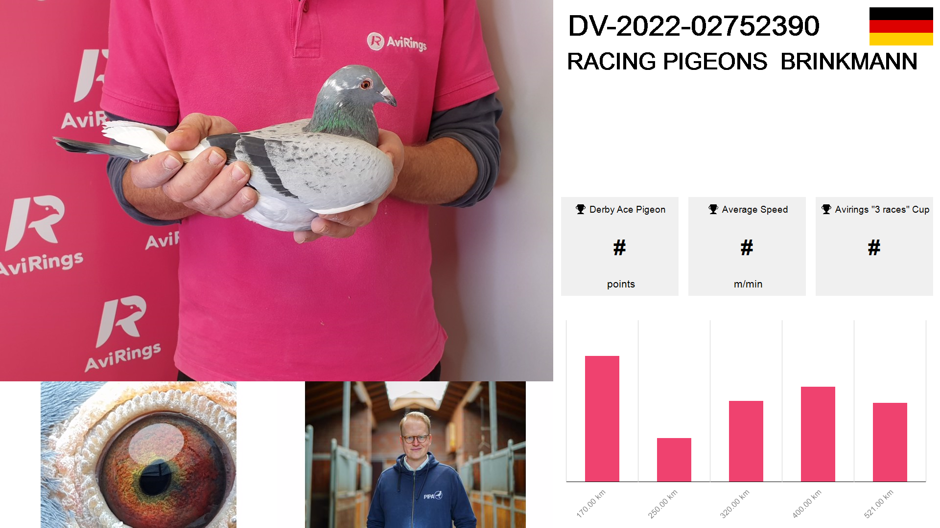 Pigeon summary image