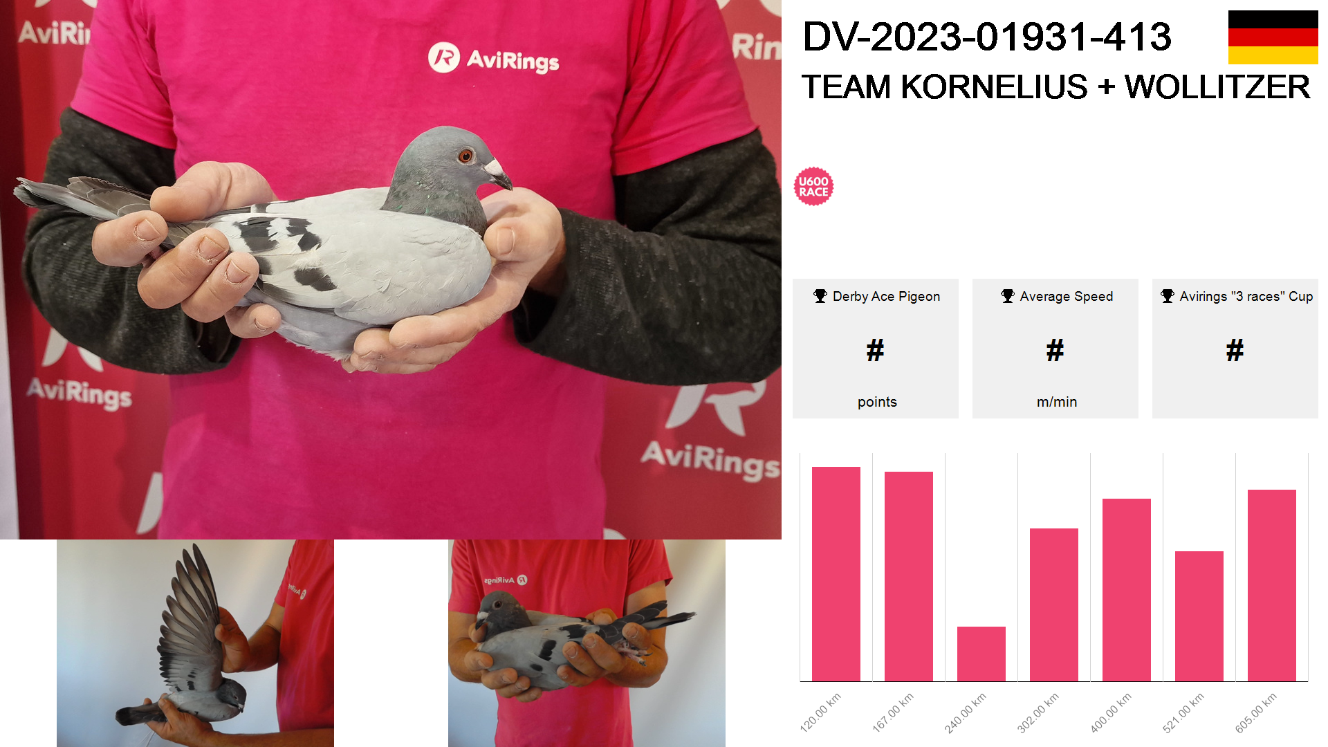 Pigeon summary image