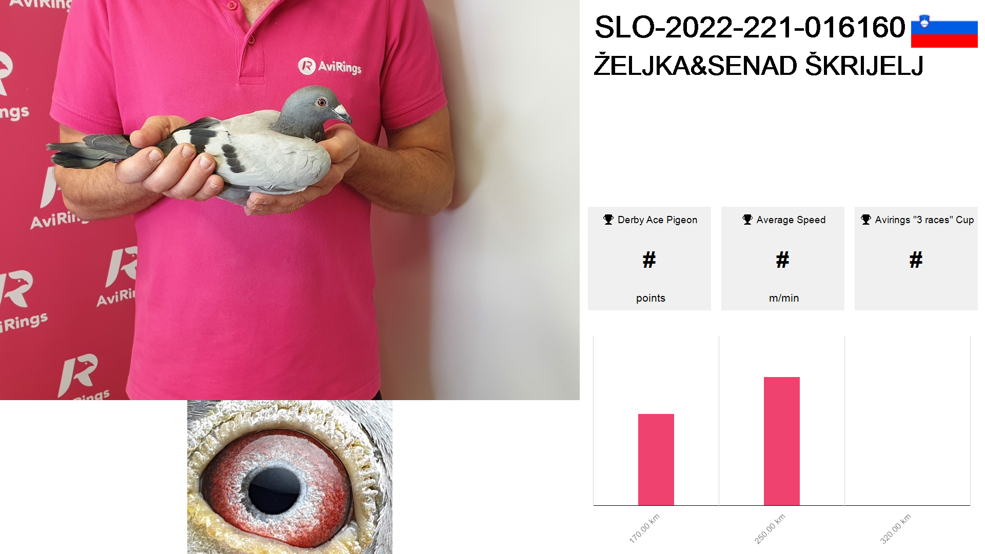Pigeon summary image