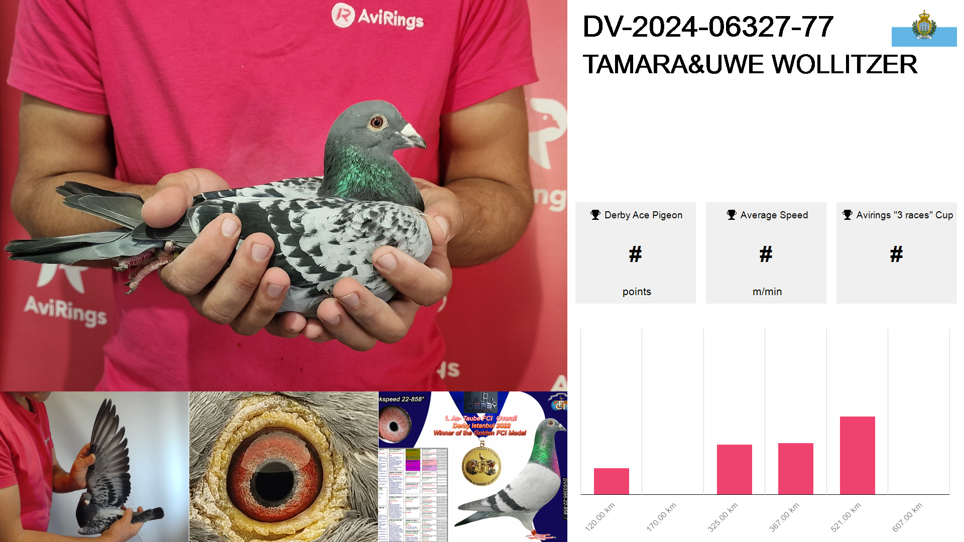 Pigeon summary image