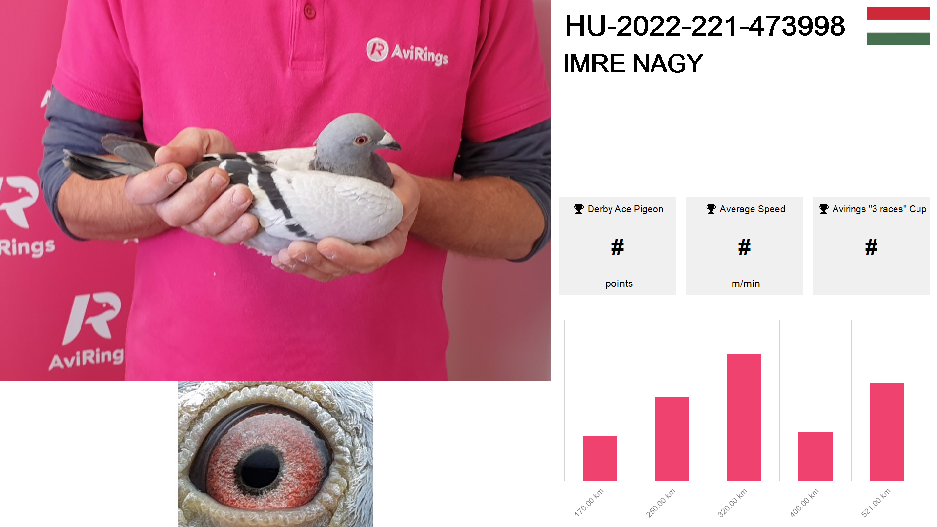 Pigeon summary image