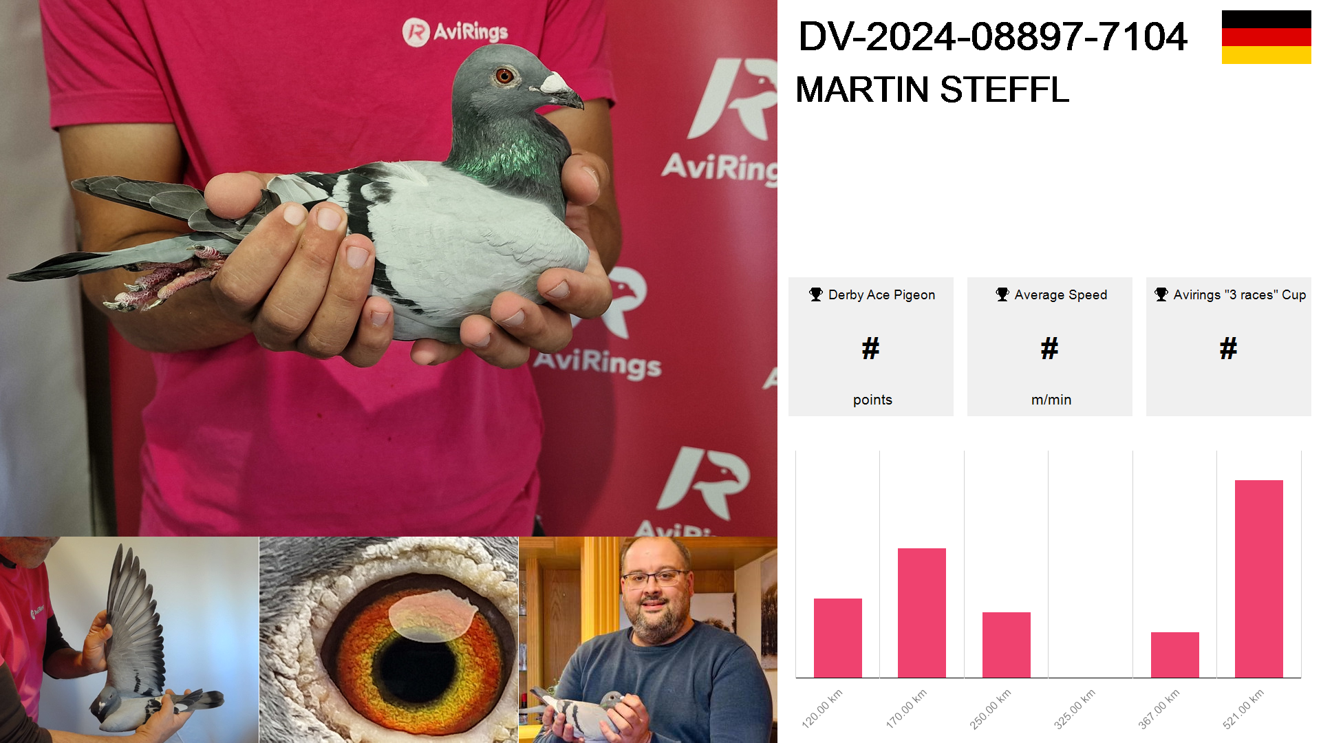 Pigeon summary image