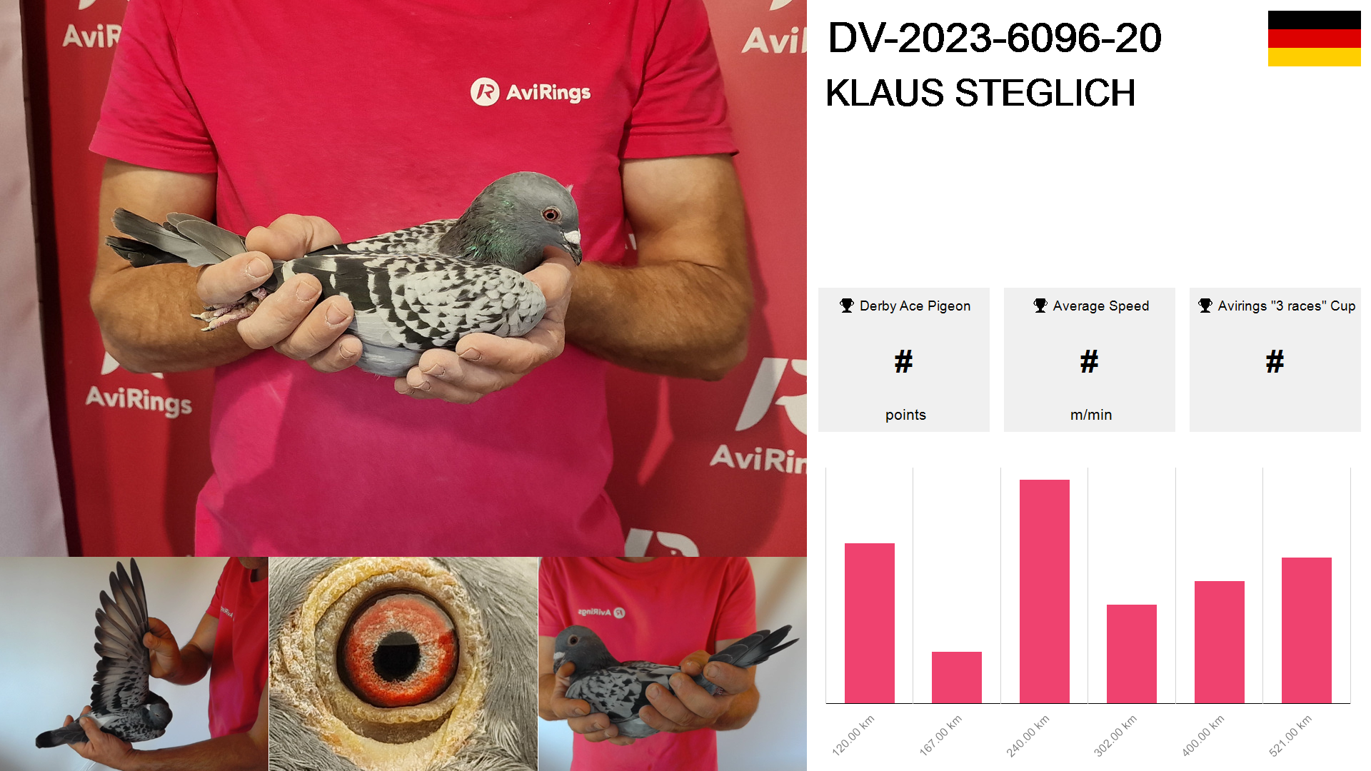 Pigeon summary image