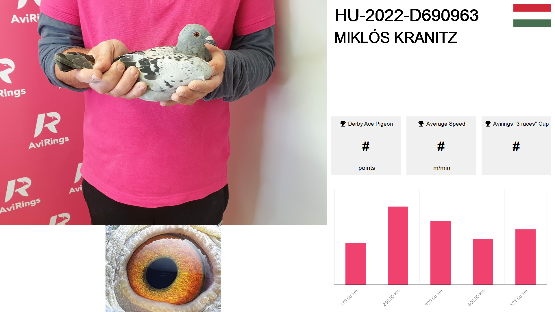 Pigeon summary image