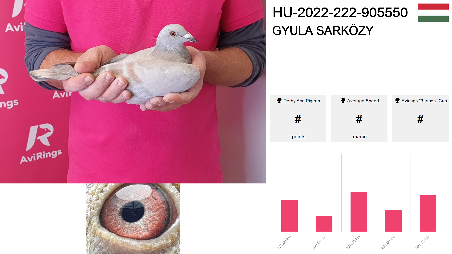 Pigeon summary image