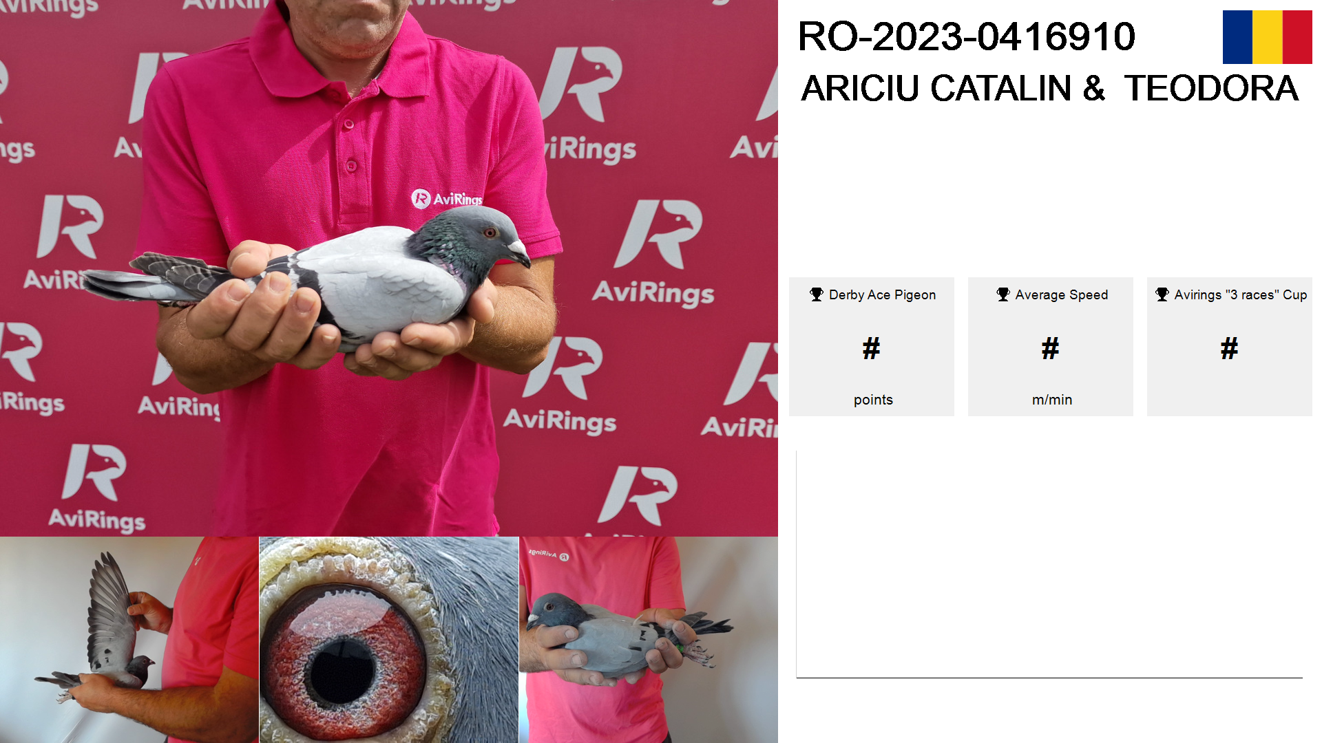 Pigeon summary image