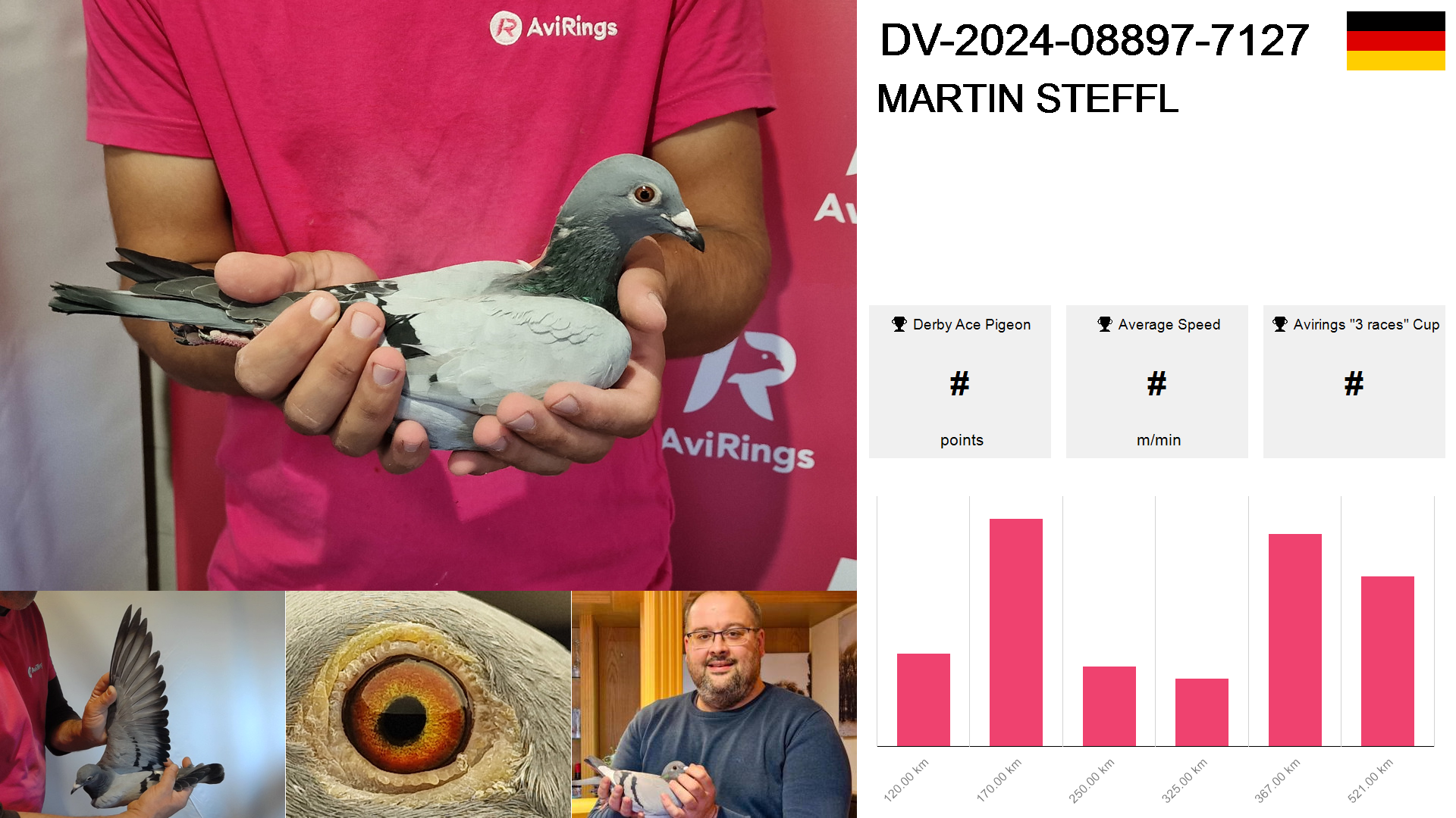 Pigeon summary image