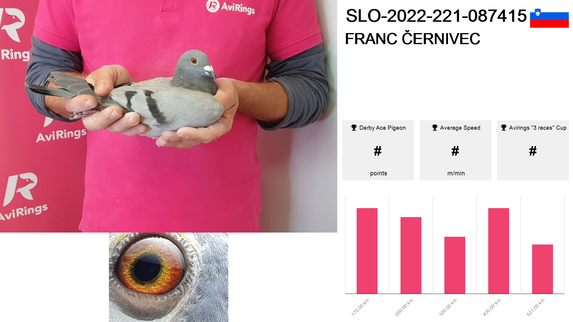 Pigeon summary image