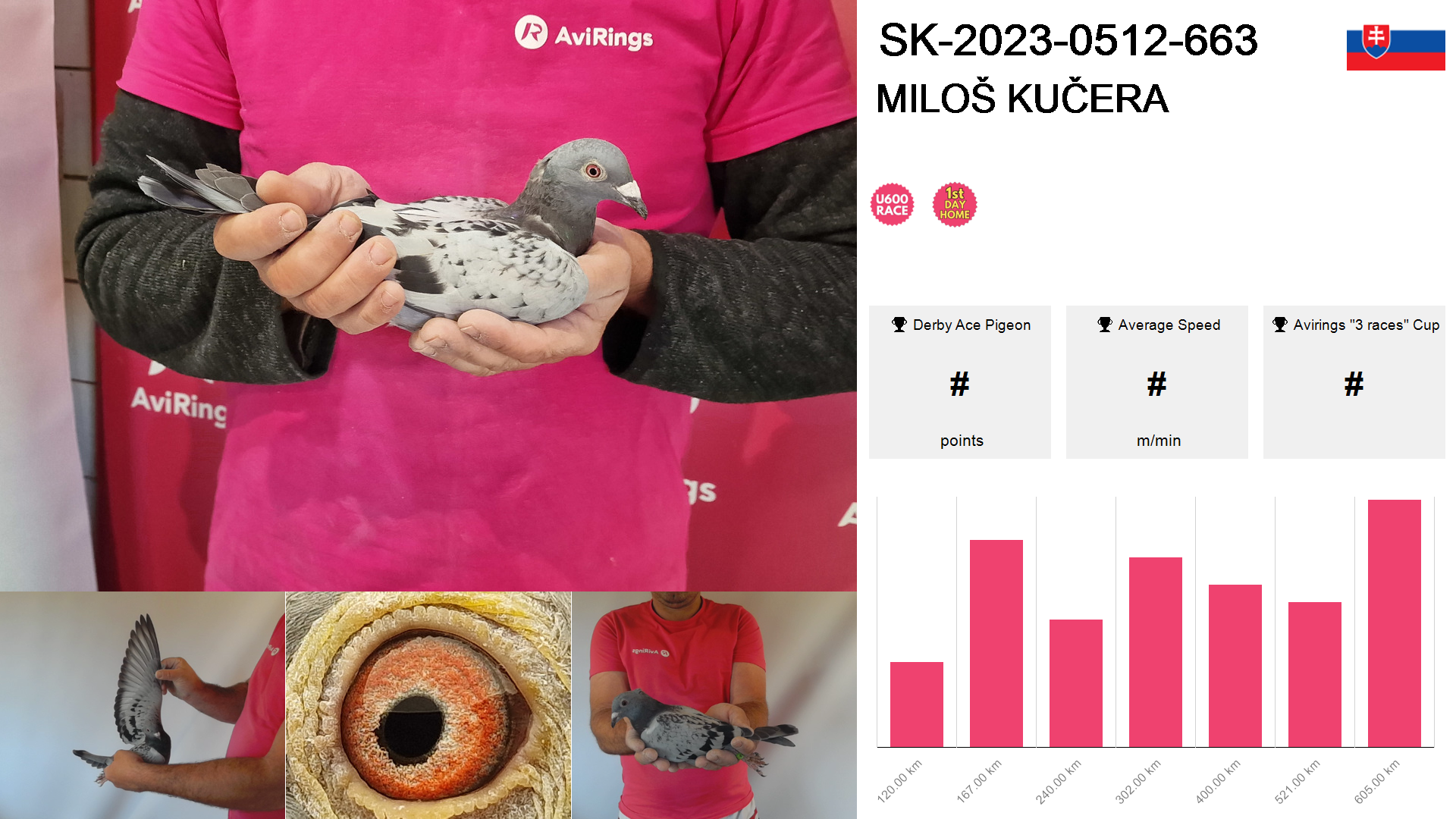 Pigeon summary image