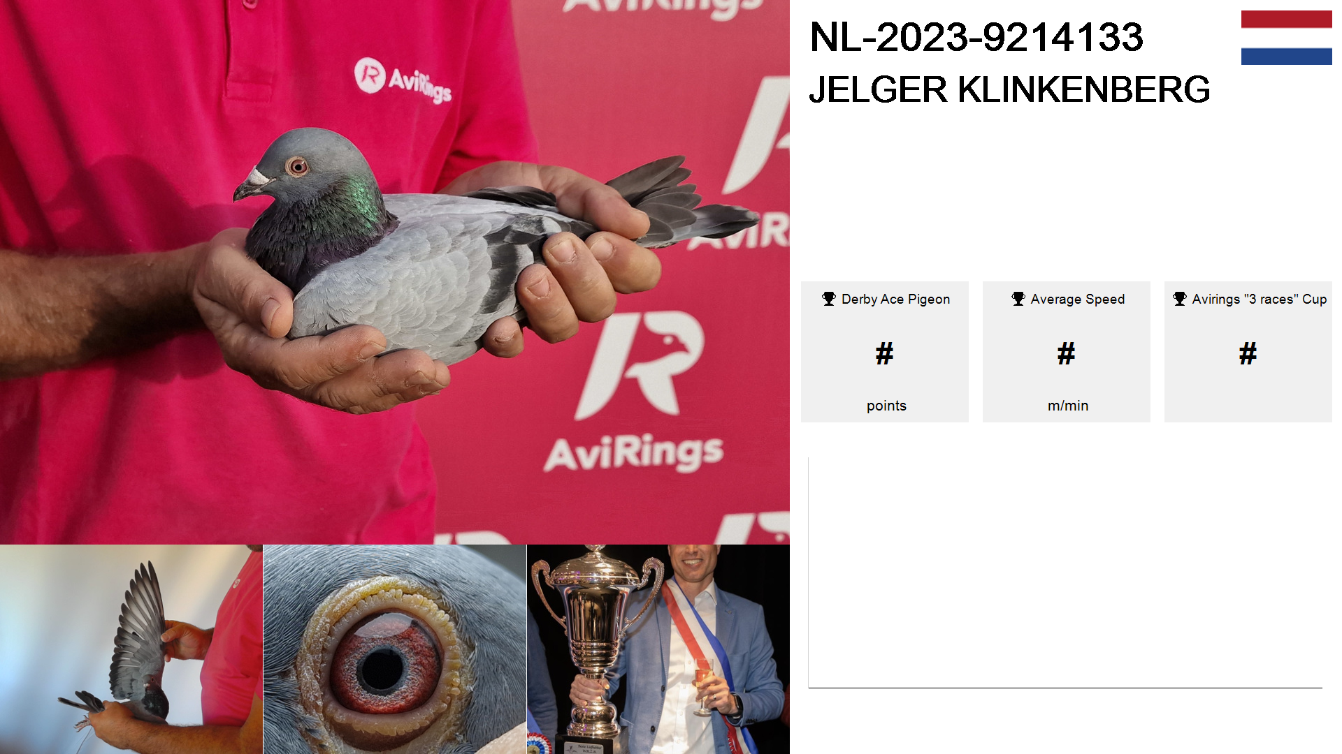 Pigeon summary image