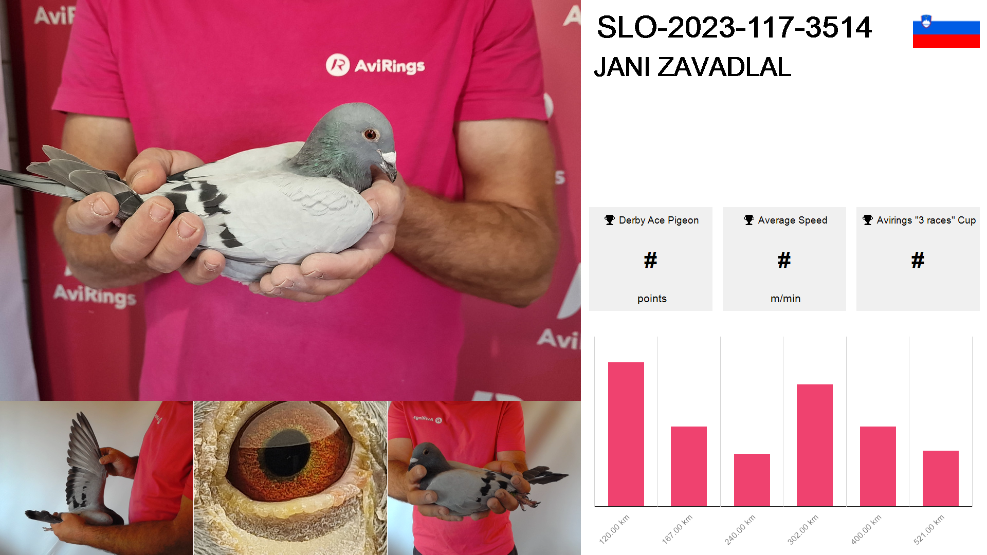 Pigeon summary image
