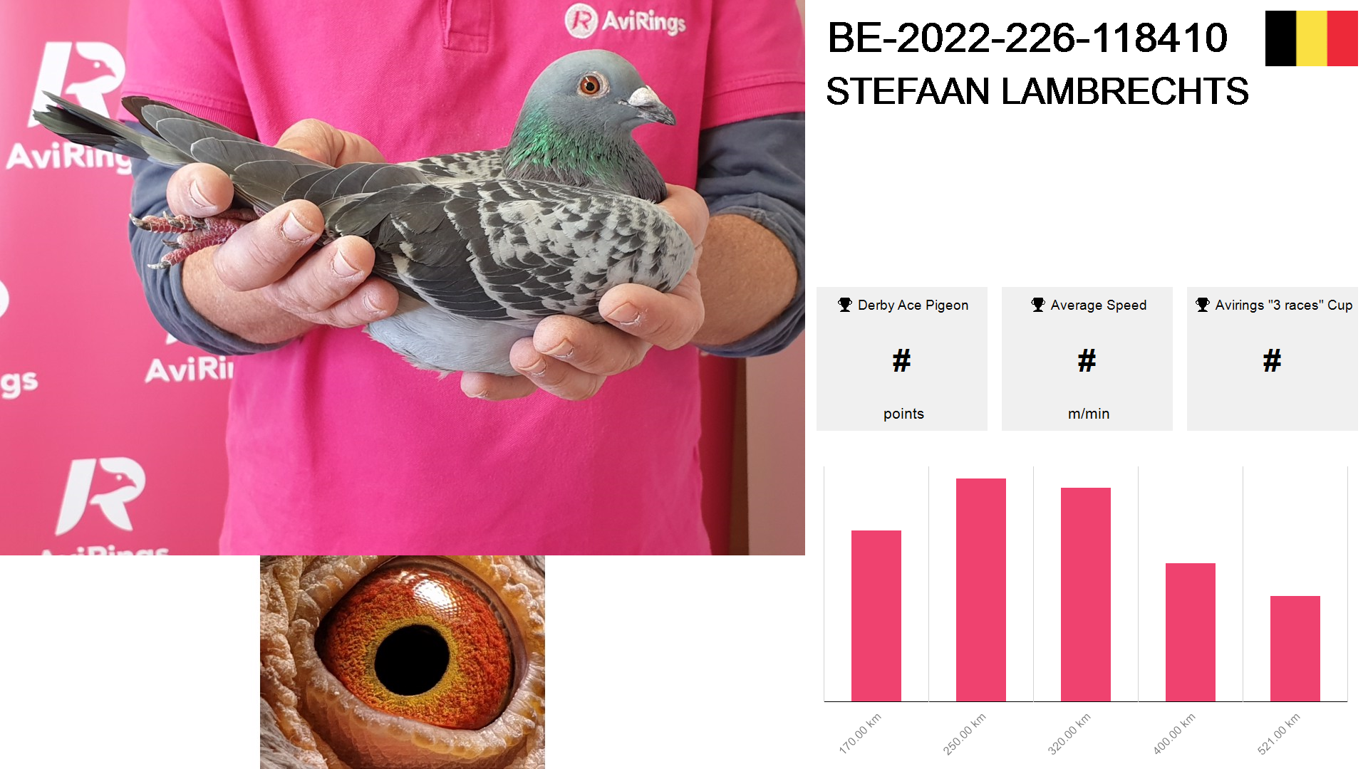 Pigeon summary image