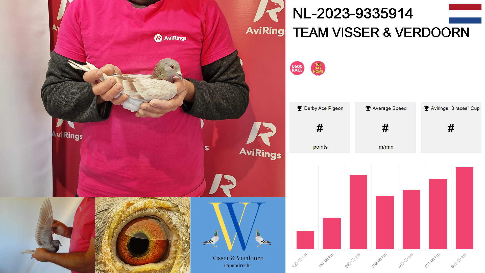 Pigeon summary image