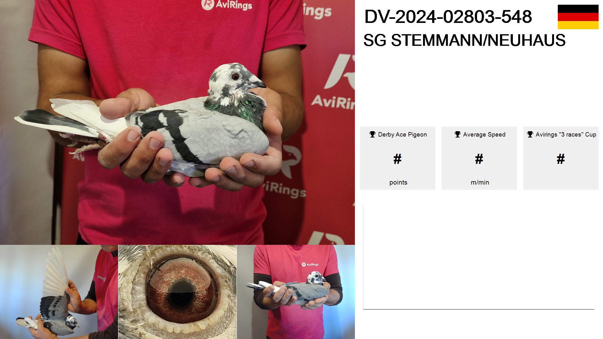 Pigeon summary image