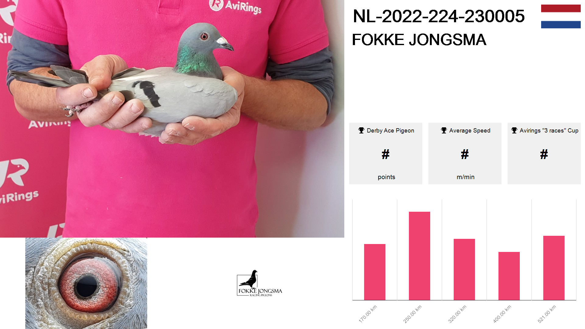 Pigeon summary image
