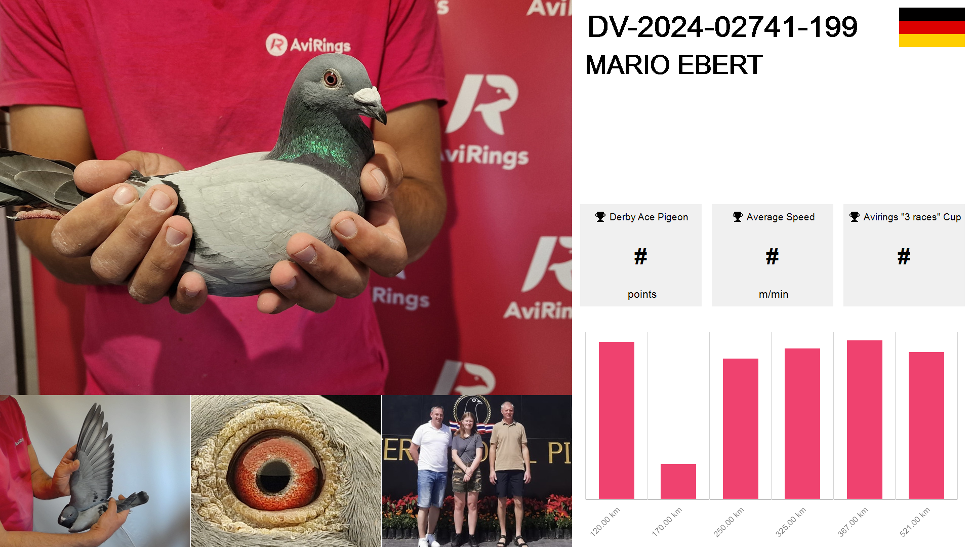 Pigeon summary image