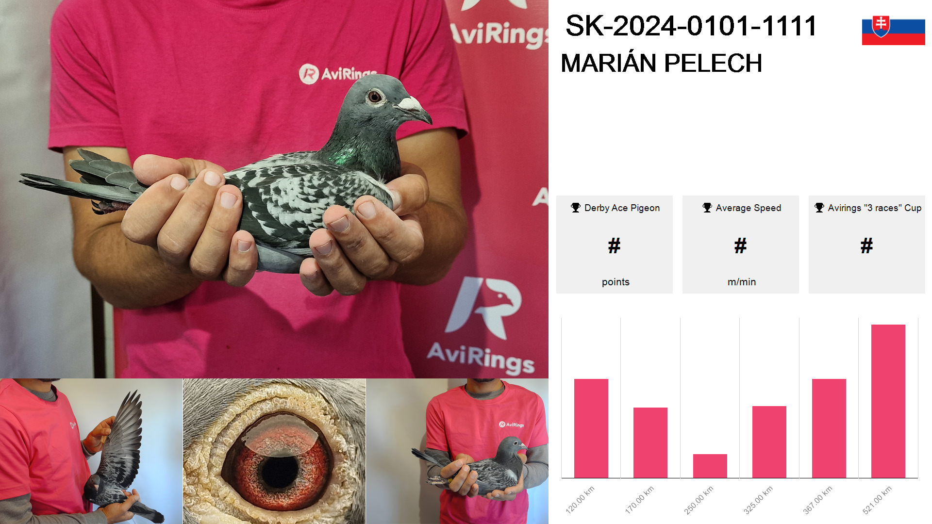 Pigeon summary image