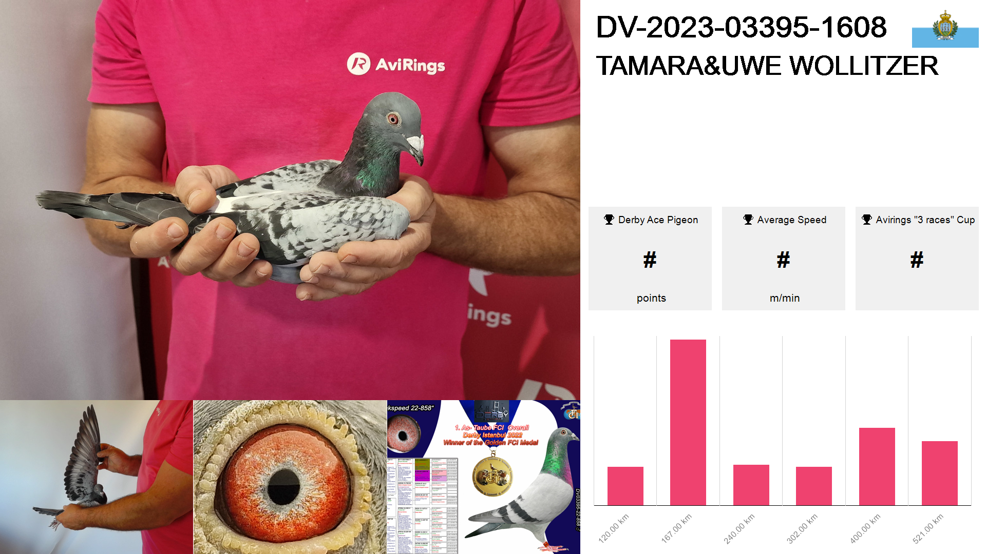 Pigeon summary image