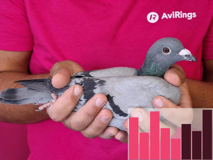 DV-2026-08195-403